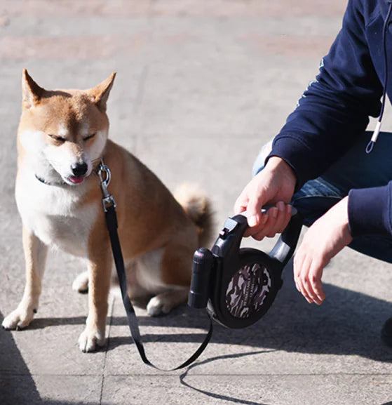 Retractable Dog Leash with LED Flashlight – 8m Durable Automatic Traction Belt for Medium & Large Dogs