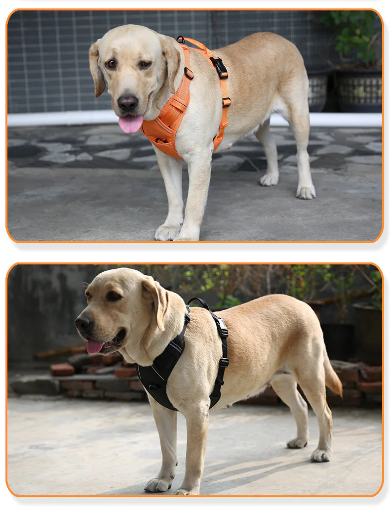 Adjustable Dog Harness with Handle – Fashion Chest Strap & Hand Holding Rope for Safe Outdoor Walks (UAE Edition)