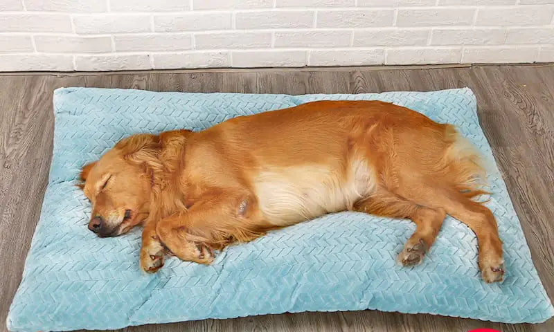 Long Warm Plush Dog Bed – Ultra-Soft Washable Sleeping Pad for Pets