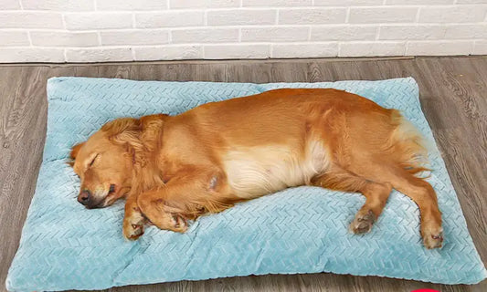 Long Warm Plush Dog Bed – Ultra-Soft Washable Sleeping Pad for Pets